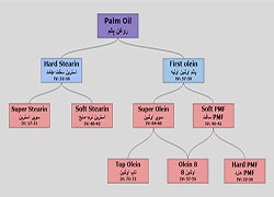 مراحل شکستن روغن پالم و تشکیل روغن پالم اولئین و سوپر اولئین